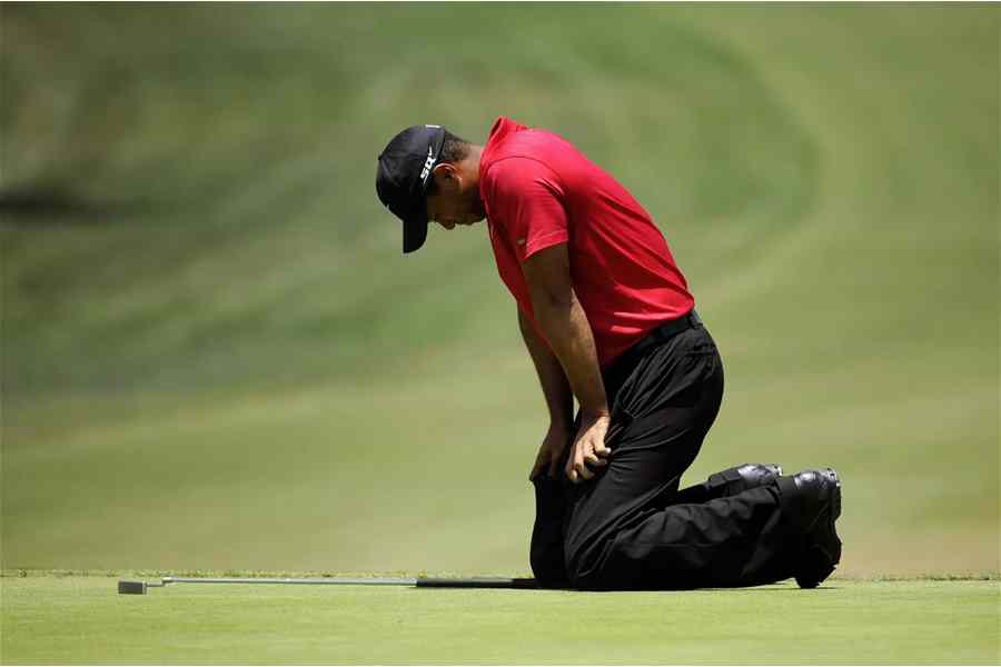 Tiger woods