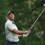 Tiger woods