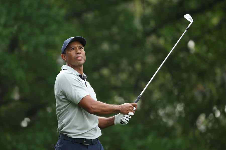 Tiger woods