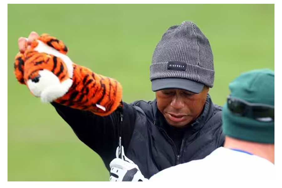 Tiger Woods 