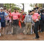 Tiger woods