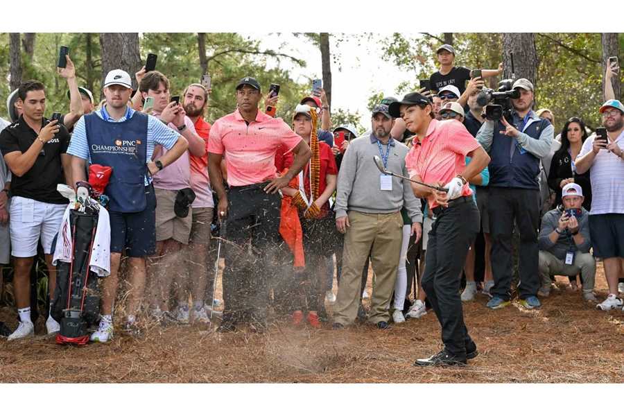 Tiger woods