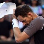 andy murray