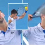 novak D