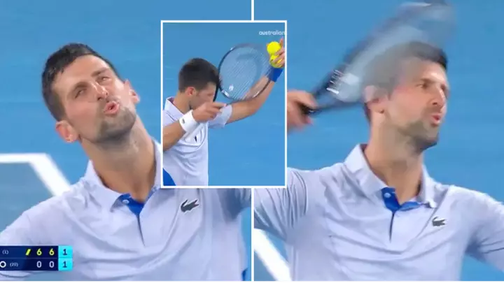 novak D
