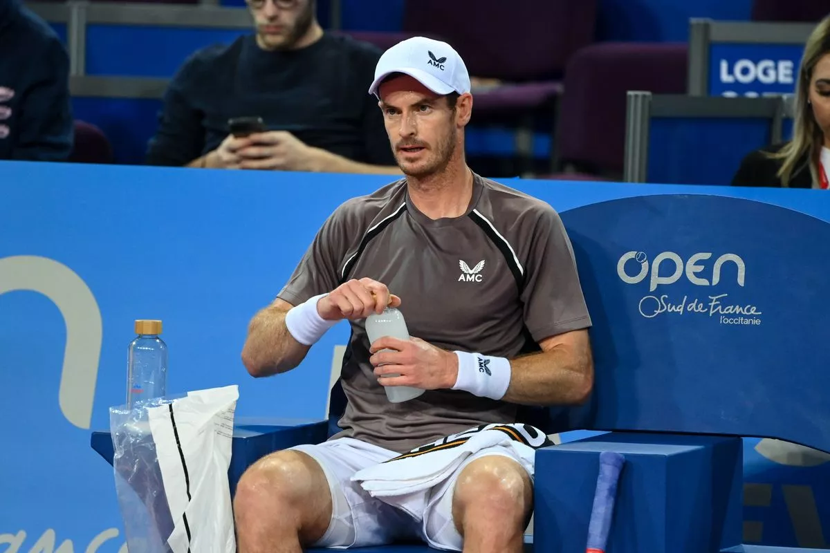 Andy murray