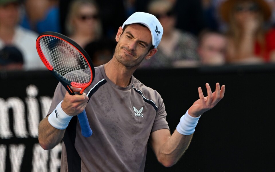 andy murray