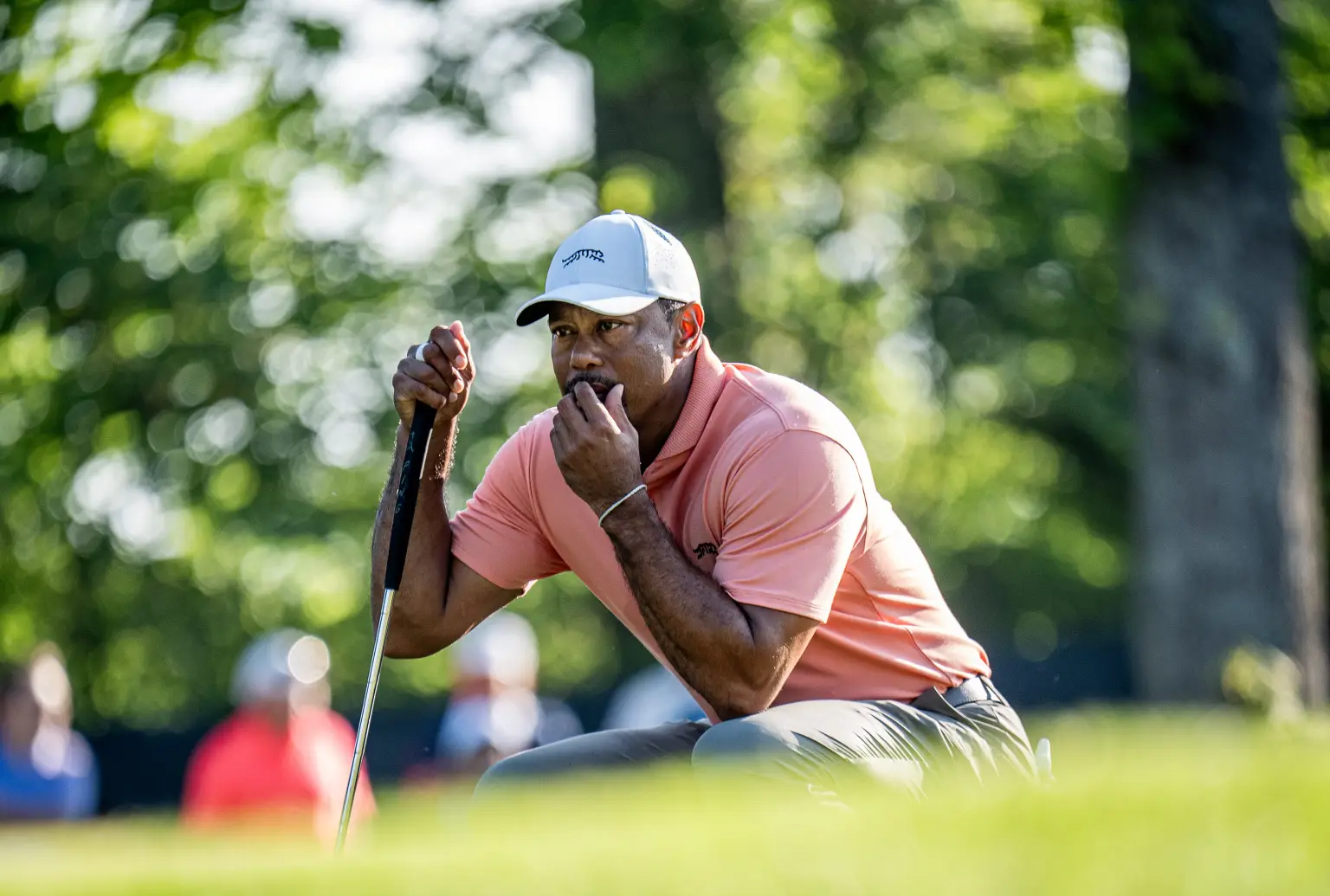 tiger woods