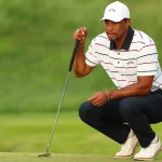 Tiger woods