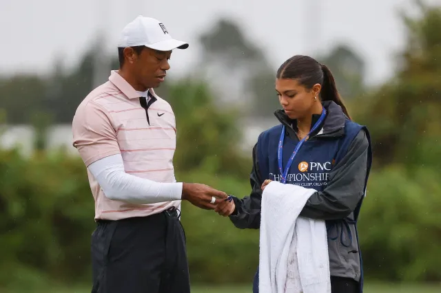 tiger woods