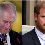 Prince harry