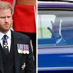 Prince harry