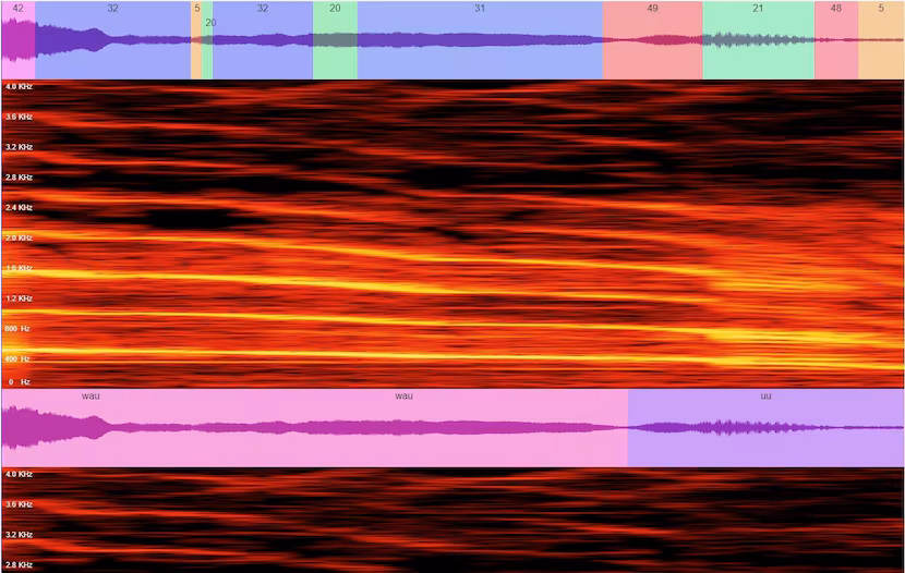 Zhu uses AI to decipher dog sounds into phonemes and potential words.