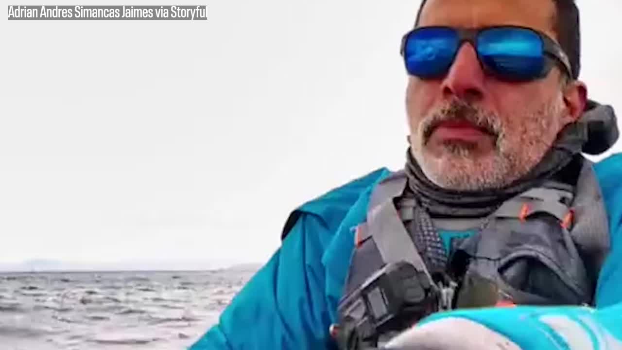 Humpback whale briefly swallows kayaker