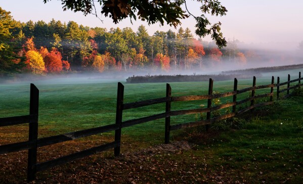 Morning mist hovers over a field as leaves turn to fall foliage colors at sunrise along a country road, Tuesday, Oct. 7, 2025, in Auburn, N.H. (AP Photo/Charles Krupa)