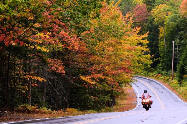 A motorcyclist rolls past trees with the changing colors of Autumn leaves, Wednesday, Sept. 24, 2025, in New London, N.H. (AP Photo/Charles Krupa)