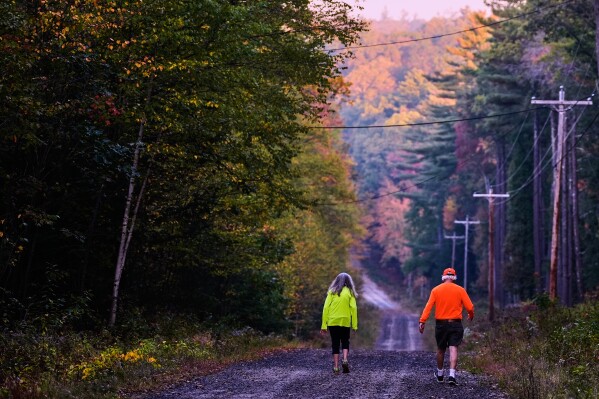 A couple, wearing protective high-visibility clothing due to hunting season, take a walk at dawn, as trees of in the distance turn to fall foliage colors, Tuesday, Oct. 7, 2025, in Chester, N.H. (AP Photo/Charles Krupa)