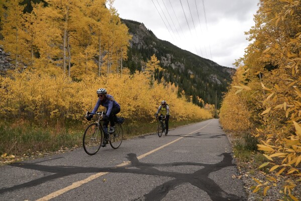 Cyclists ride among yellow aspen leaves Tuesday, Sept. 30, 2025 in Frisco, Colo. (AP Photo/Brittany Peterson)