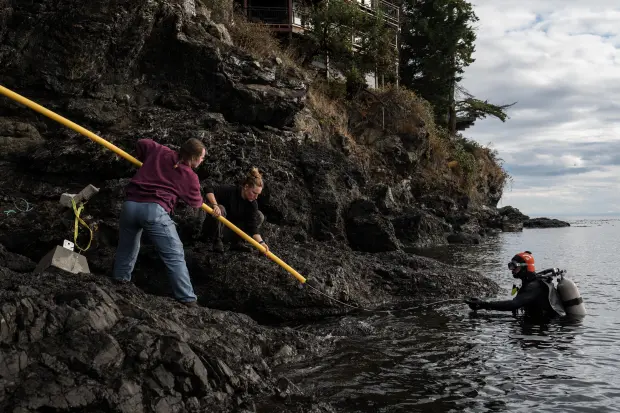 A protective conduit is strung onto the fiber-optic cable on...