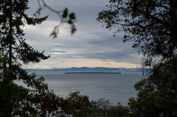 The Salish Sea, home to some 75 endangered Southern Resident...