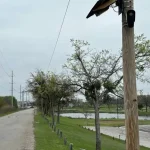 City-of-Lockhart-denies-proposal-to-install-Flock-cameras.jpg