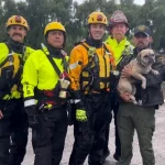 Firefighters-rescue-stranded-pup-from-rising-floodwaters.jpg