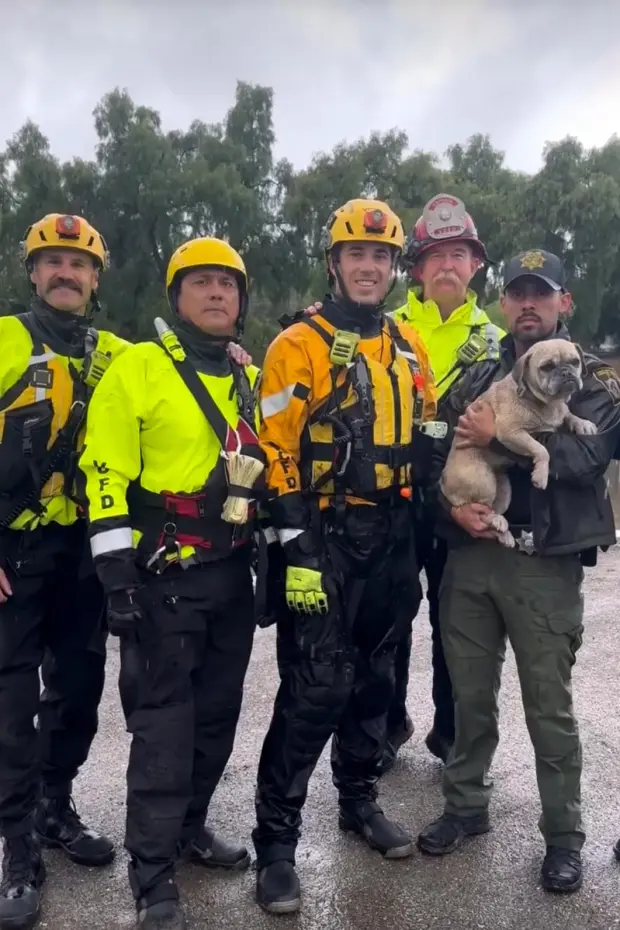 Firefighters-rescue-stranded-pup-from-rising-floodwaters.jpg
