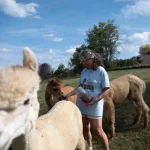 The-Crafty-Alpaca-farm-in-Avella-spins-fleece-into-treasures.jpg