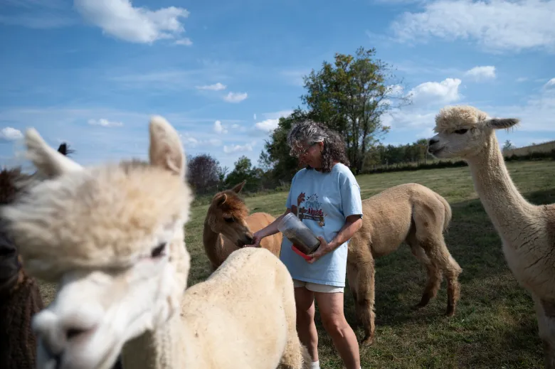 The-Crafty-Alpaca-farm-in-Avella-spins-fleece-into-treasures.jpg