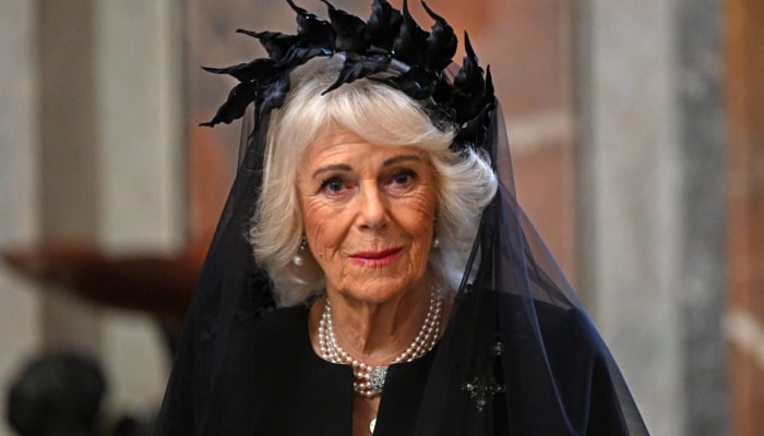 Queen Camilla