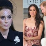 659627_050728_updates (1)